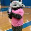 Wildcat Fans Jam Bardo Gym for 'Pink Out' Volleyball Game