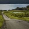 Enjoy a Day of Seneca Lake Wine-Tasting With Alumni Relations