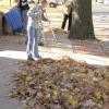 Student Work Crew Brightens Grounds at YWCA