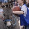 Donkey Basketball Back on Campus