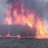 Wildlife Students Improve Habitat Through Controlled Burn