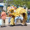 'Lion' Visit Adds Lunchtime Color to College Campus