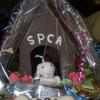 Students Prepare Treats for SPCA Fundraiser